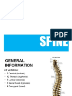 SPINE (Edited 19Nov2011)