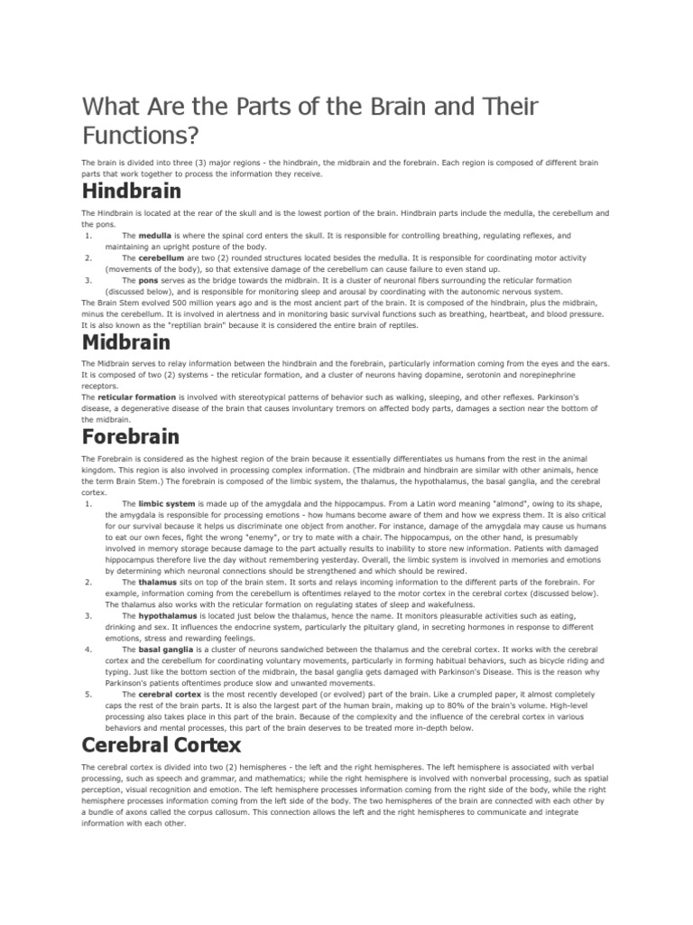 Brain Parts and Their Functions Explained | PDF | Lateralization Of ...