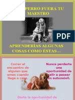 Si Un Perro Fuera Maestro