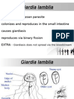 Giardia Sis