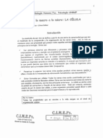 celula.pdf