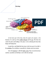 Normal Anatomy & Physiology &Psychopathology