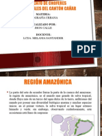 region amazonia.pptx