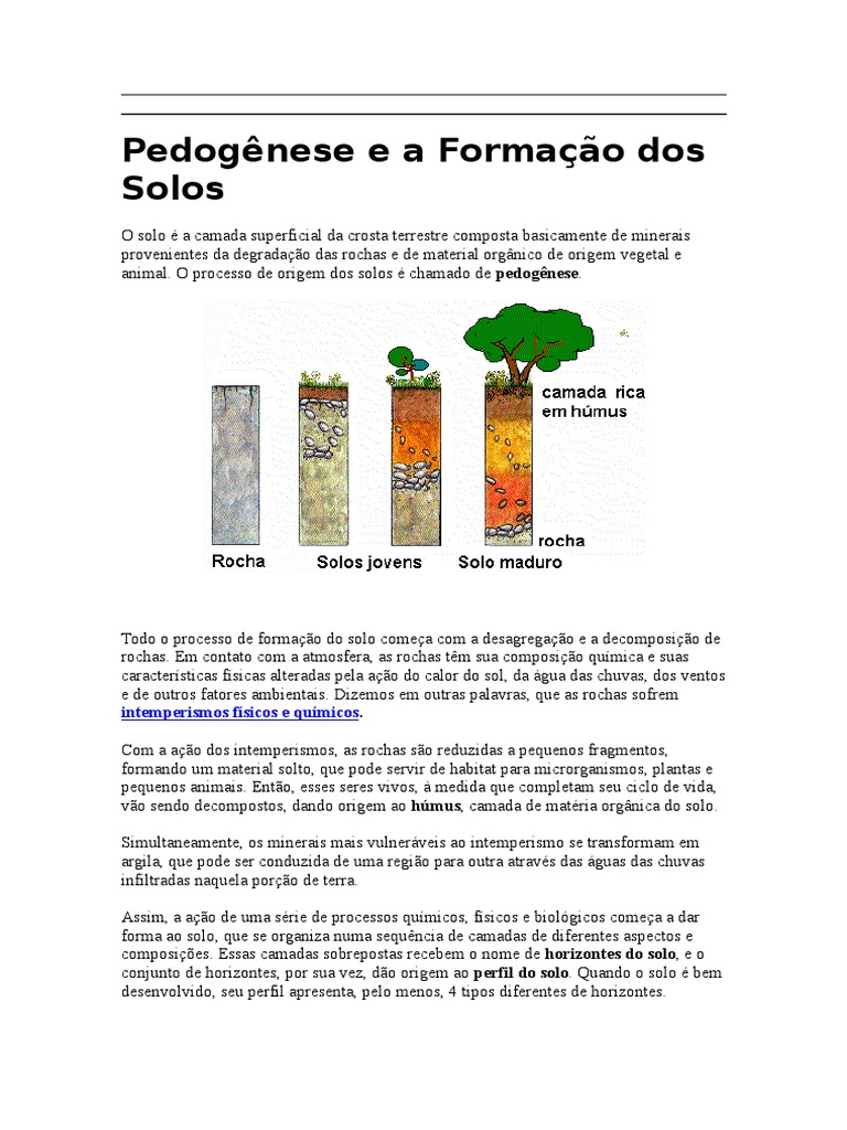 Pedogênese e a Formação Dos Solos | Matéria Orgânica | Solo