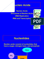 Nucleic Acids: Nucleic Acids Structures of Nucleic Acids DNA Replication RNA and Transcription