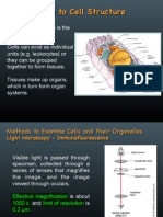 Introduction To Cell Structure