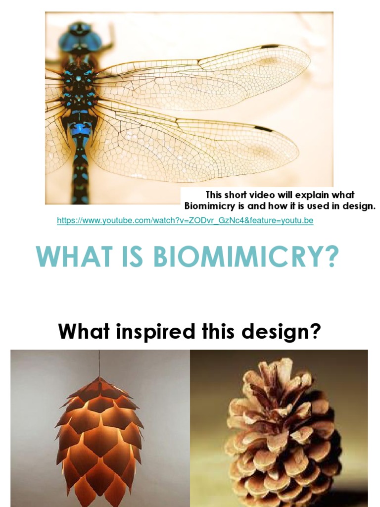 What Is Biomimicry PDF Nature Science