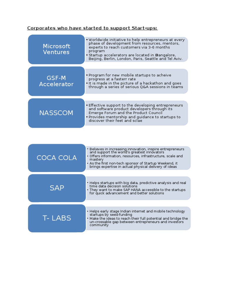 Startup Support Initiatives Overview | PDF
