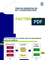 Diapositivas Factibilidad Mef