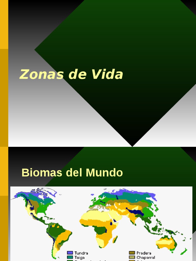 Zonas de Vida según Holdridge en Costa Rica | PDF | Biogeografia ...
