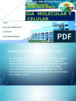 radiobiologia molecular.pptx