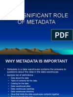 The Significant Role of Metadata