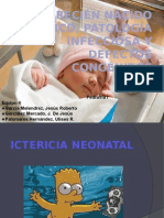 Recién Nacido Ictérico, Problemas Infecciosos y Defectos