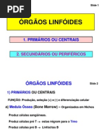 Órgãos Linfoides Primários e Secundários