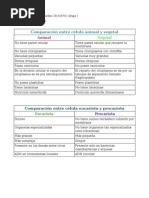 Organelas animales y vegetales