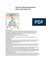 Proses Fisiologi Dari Spermatogenesis