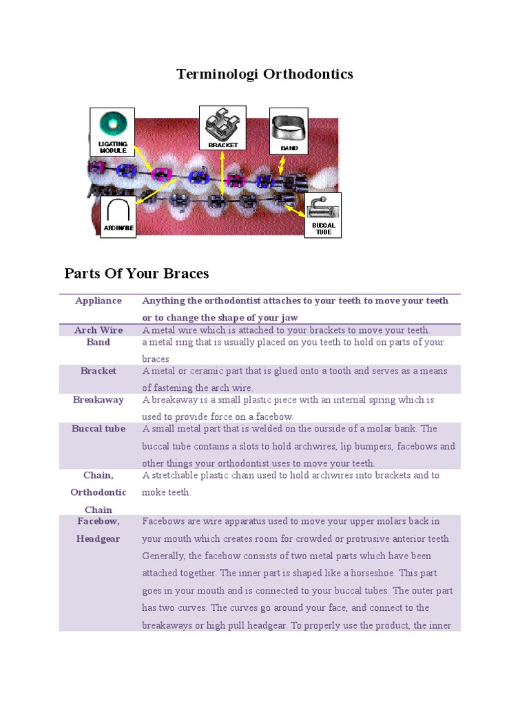 Definitions of Orthodontic Terms PDF Orthodontics Dentistry Branches