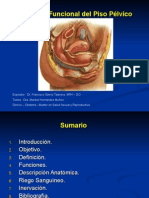 Anatomía y funciones del piso pélvico