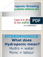 Hydroponic Growing 