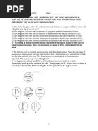 Worksheet Meiosis Worksheet Answers answers for ch 5 cell division meiosis chromosome mito meiosistestanswers