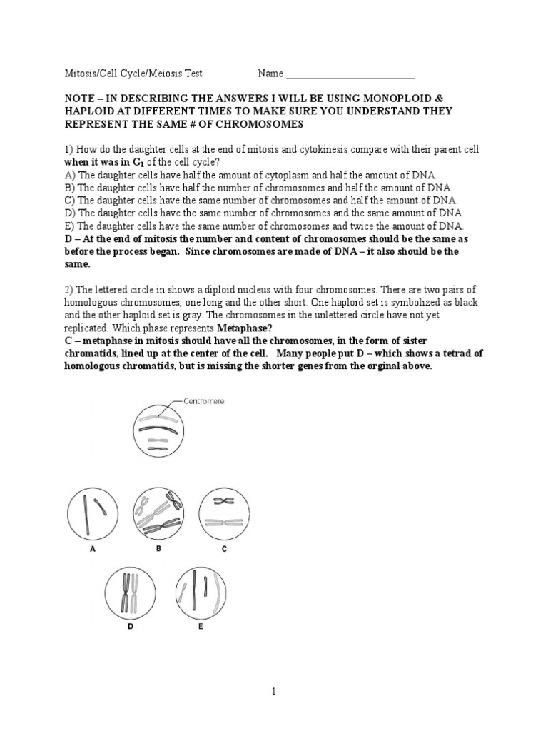 Mito-Meiosis Test Answers | Download Free PDF | Meiosis | Mitosis