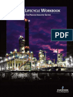 2014  Safety-Lifecycle-Workbook   Emerson.pdf