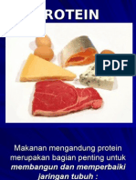 Gizi3a Protein Ppt