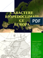 3. Tundra_silvotundra - Copy