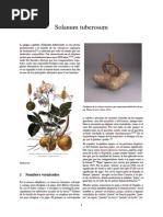 Download Solanum Tuberosum by Ramon Espardena SN259591333 doc pdf
