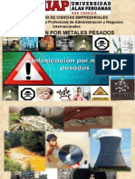 Contaminacion Con Metales Pesados-ok