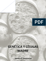 Final Genetica y Celulas Madre