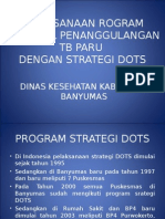 Program Strategi Dots