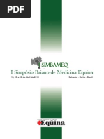 2013-05-06-anaissimbameq.pdf