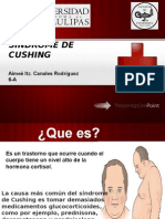 Sindrome de Cushing