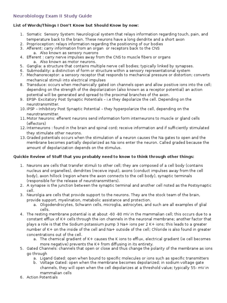 Neurobiology Exam II Study Guide | PDF | Depolarization | Neuron