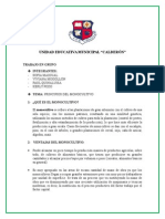 trabajo-en-grupo-monocultivo.docx