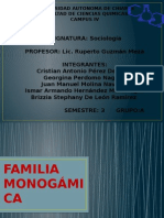 Familia MonogÃ - Mica. Equipo 3