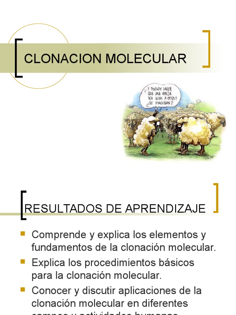 Clonacion Molecular PDF Plásmido Adn