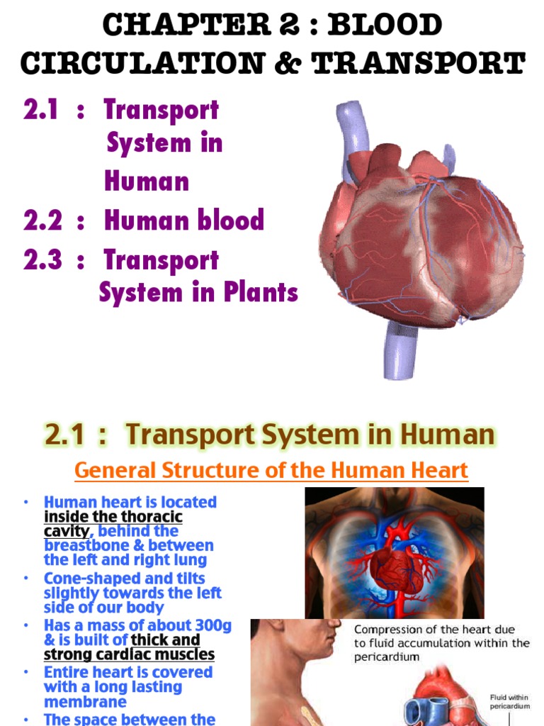 2.1: Transport System in Human 2.2: Human Blood 2.3: Transport System ...