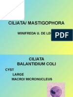 Ciliata/ Mastigophora: Winifreda U. de Leon