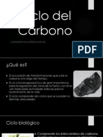 Ciclo Del Carbono