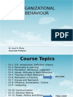 Organizational Behavior Guide