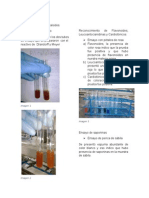 Practica de Metabolitos Secundarios