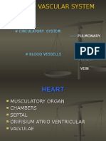 2 Histologi Jantung