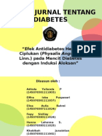 Review Jurnal Tentang Diabetes