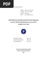 Download Identifikasi Bakteri Gram Positif by Kanti Rahmi Fauziyah SN259647425 doc pdf