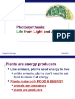 Photosynthesis