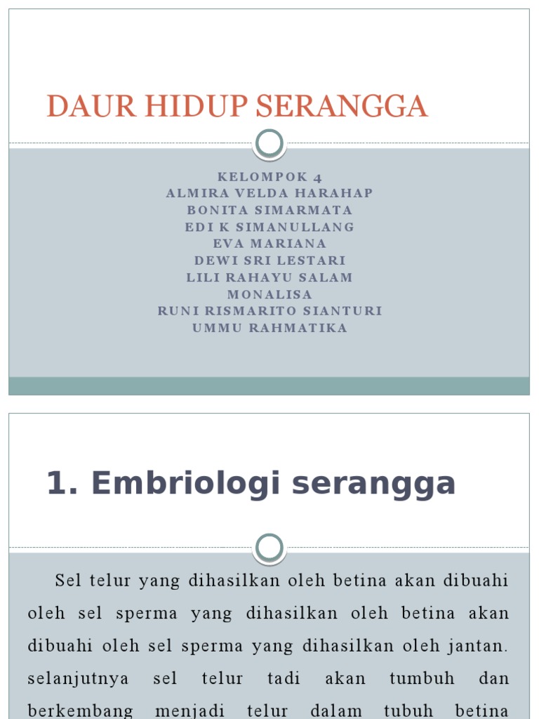 Siklus Hidup Serangga