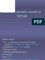 Boli Ale Cavitatii Nazale Si Faringe