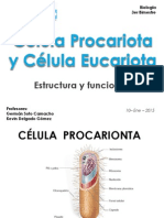 Célula Procariota y Célula Eucariota